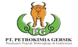 Petrokimia
